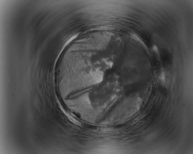 X0000052631095200507160124