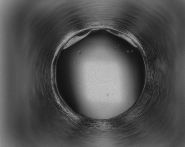 X0000052631096200507160124