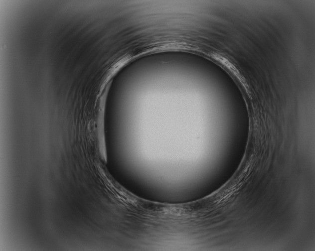 X0000052631097200507160124