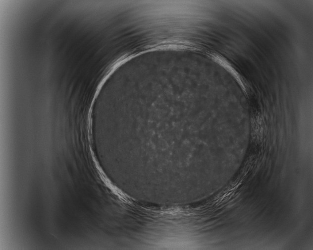 X0000052631099200507160124