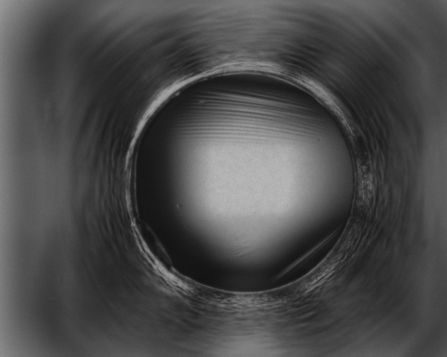 X0000052631102200507160124
