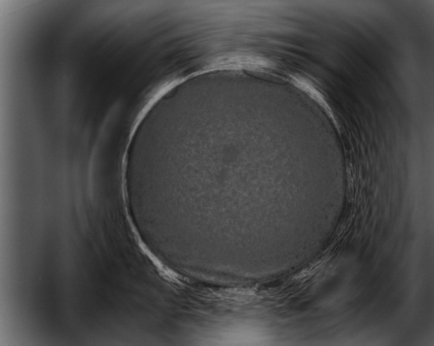 X0000052631103200507160124