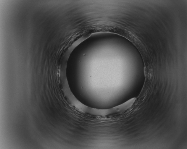 X0000052631108200507160123