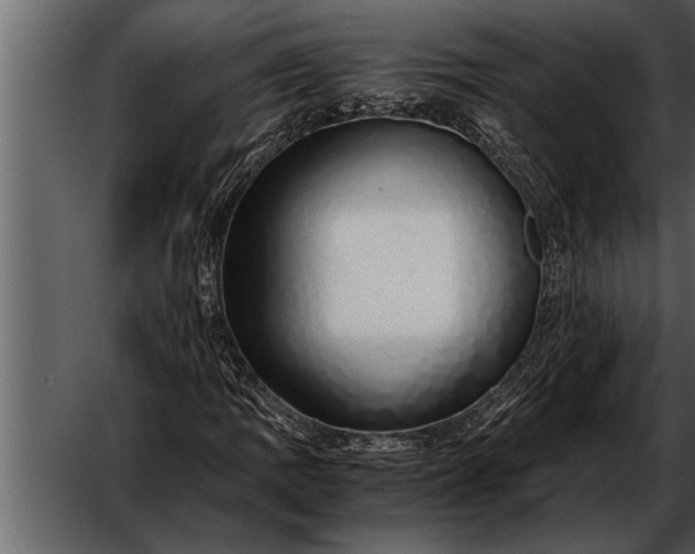X0000052631109200507160123