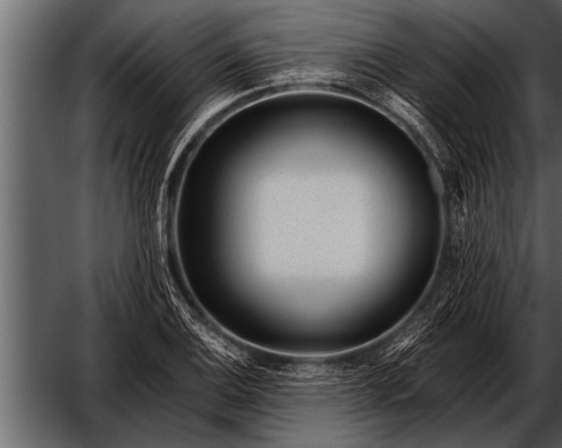 X0000052631124200507160123
