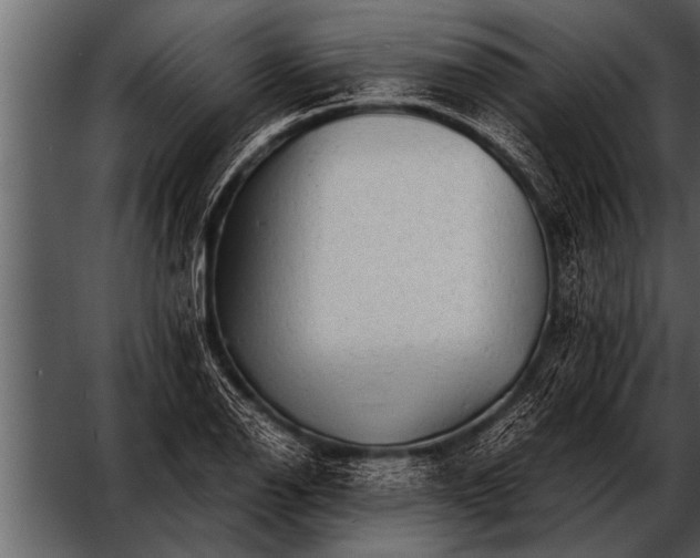 X0000052631126200507160123
