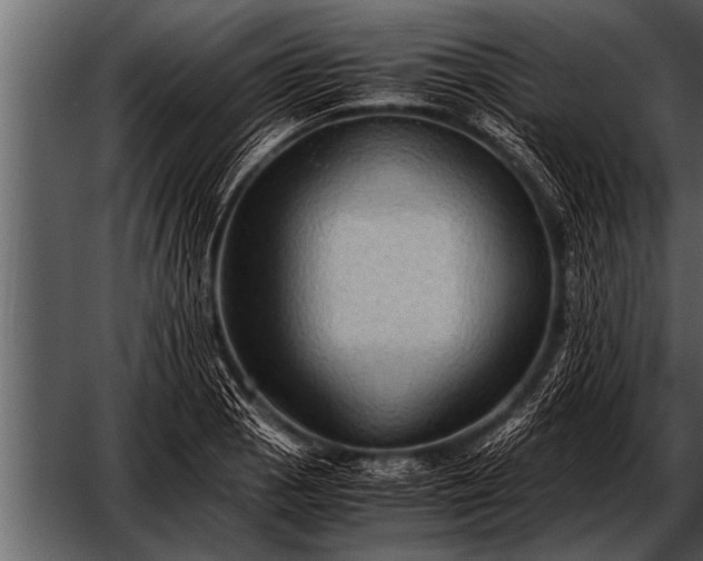 X0000052631129200507160123