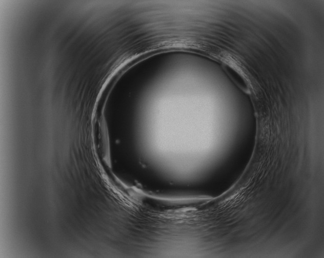 X0000052631132200507160123