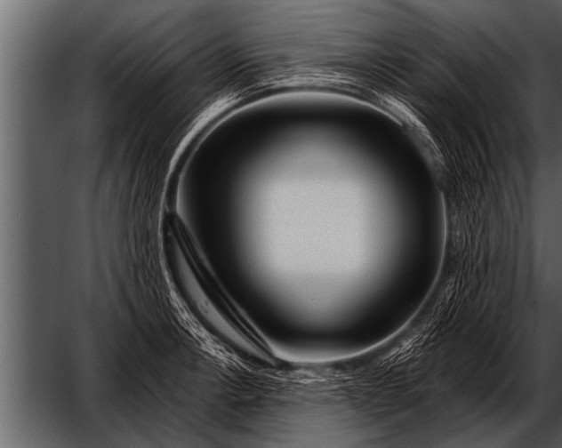 X0000052631138200507160124