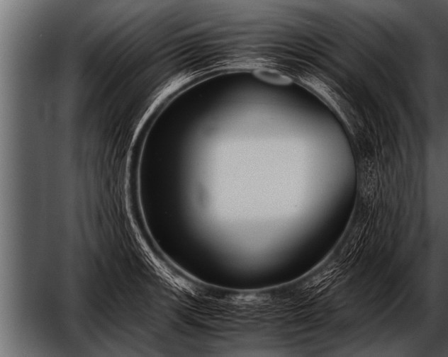 X0000052631139200507160124