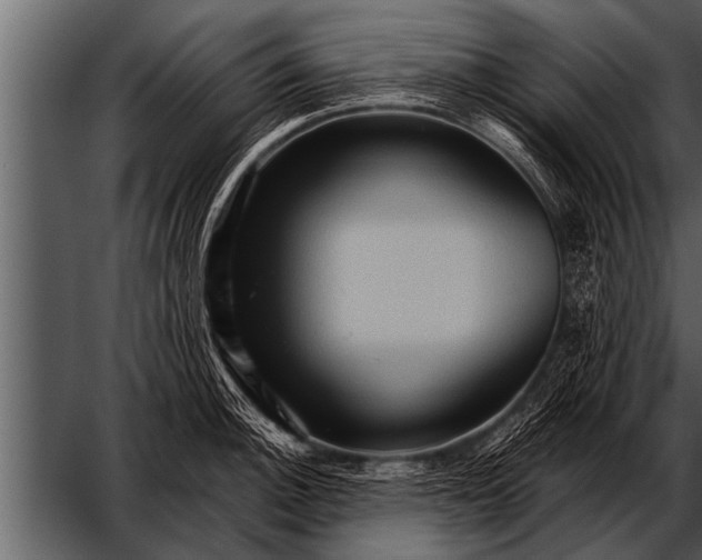 X0000052631140200507160124