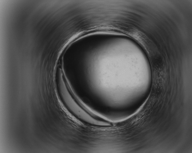 X0000052631142200507160124