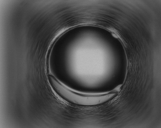 X0000052631143200507160124
