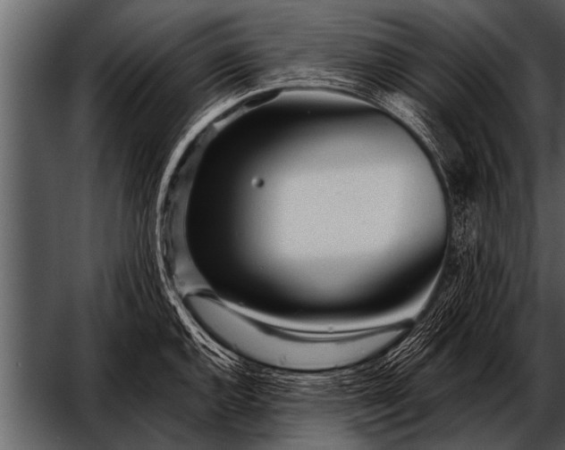 X0000052631144200507160124