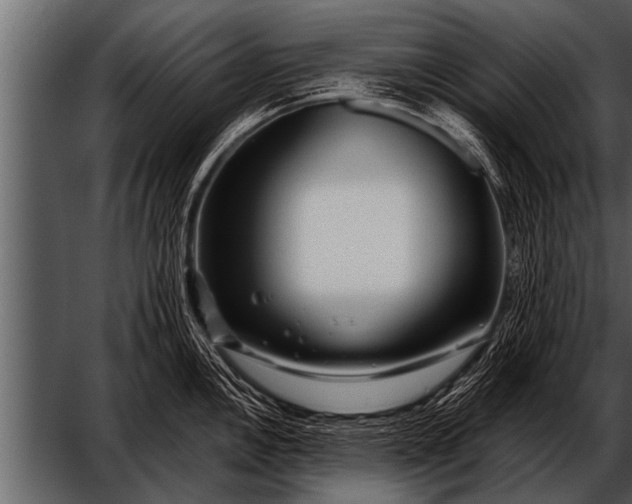 X0000052631146200507160124
