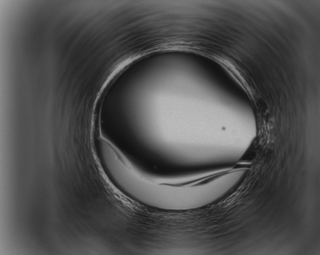 X0000052631147200507160124