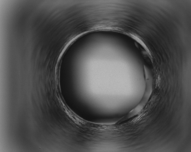 X0000052631148200507160124