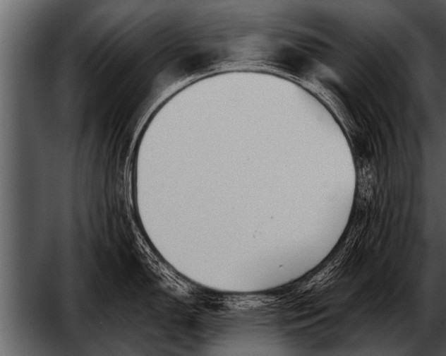 X0000052631150200507160124