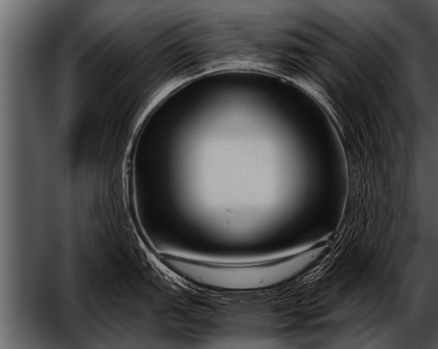 X0000052631151200507160124