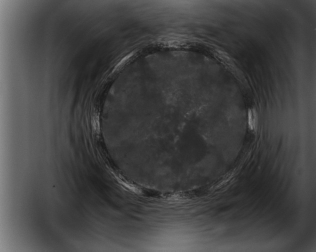 X0000052631155200507160123