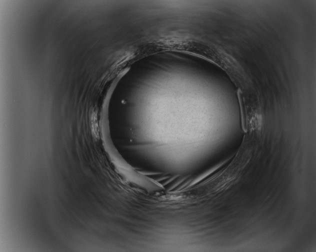 X0000052631156200507160123