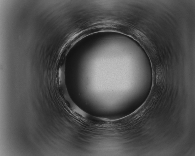 X0000052631164200507160123