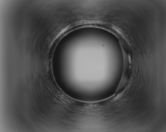 X0000052631165200507160123