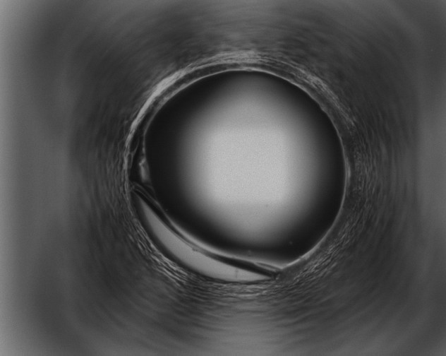 X0000052631168200507160123