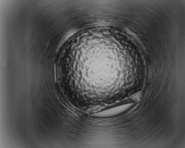 X0000052631171200507160123