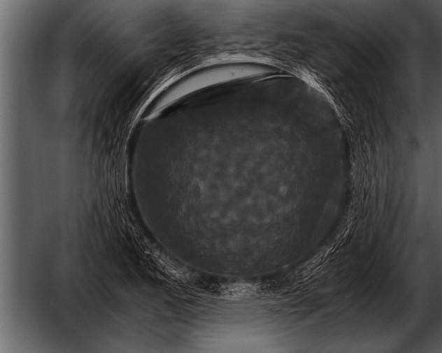 X0000052631173200507160123