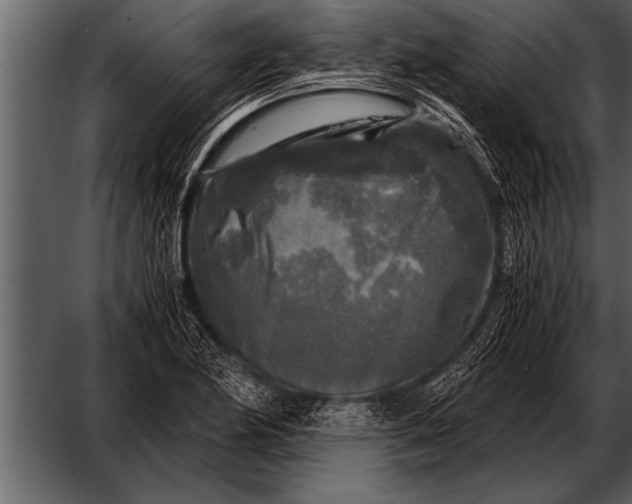 X0000052631174200507160123
