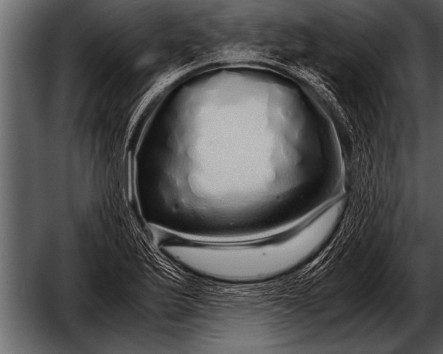 X0000052631175200507160123