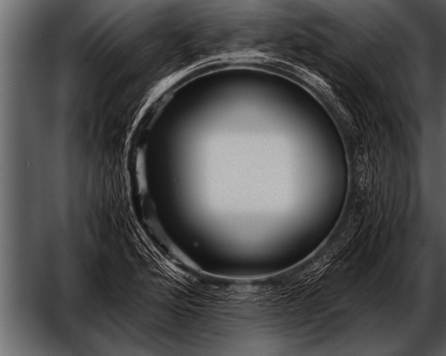 X0000052631176200507160123