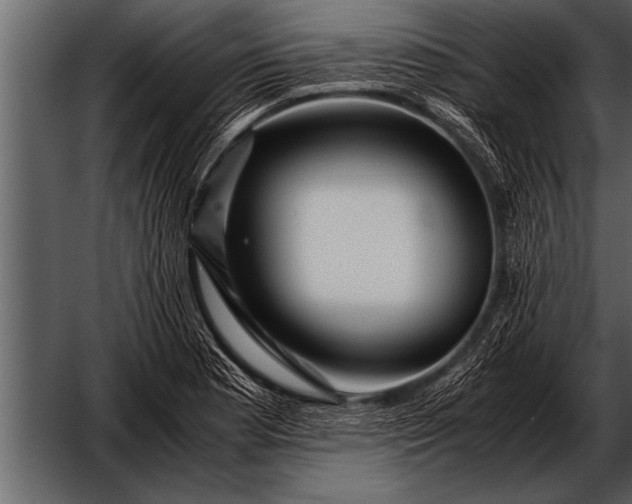 X0000052631177200507160123