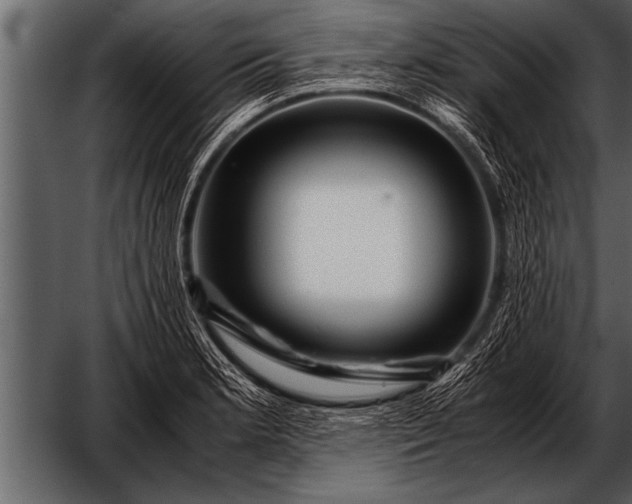 X0000052631181200507160123