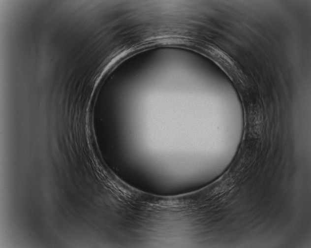 X0000052631182200507160123