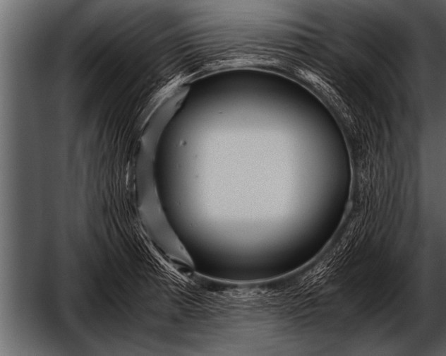 X0000052631185200507160122