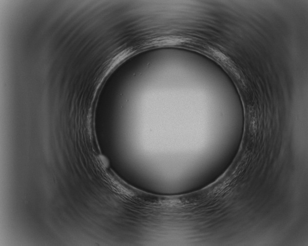 X0000052631186200507160122