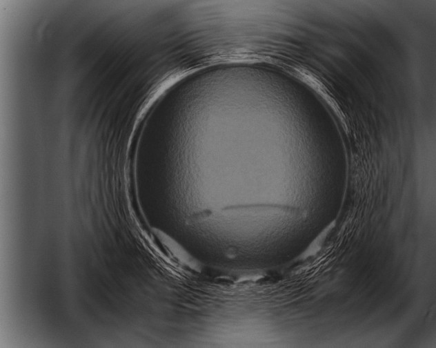 X0000052631187200507160122