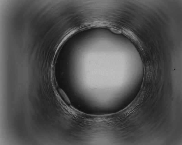 X0000052631190200507160122