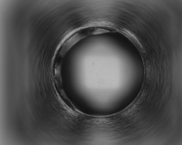 X0000052631192200507160122