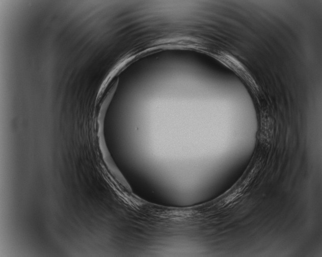 X0000052631196200507160122
