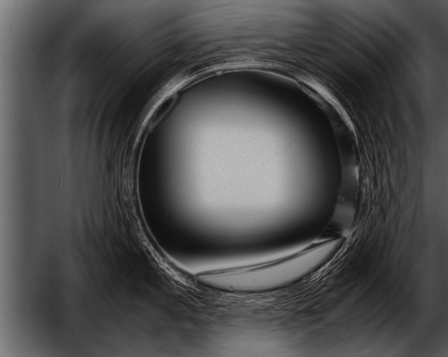X0000052631197200507160122