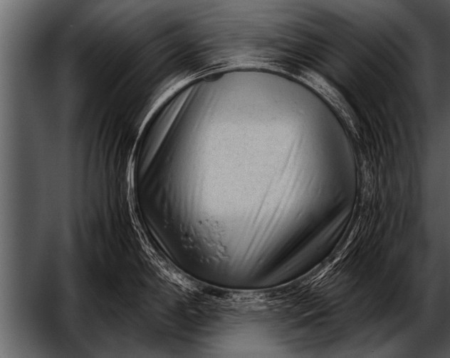 X0000052631198200507160122