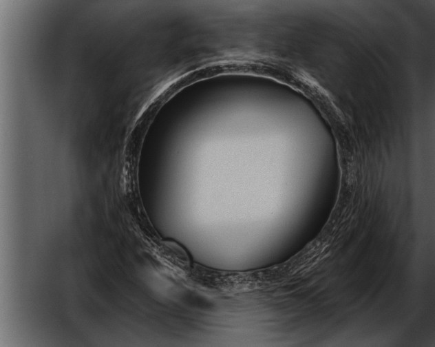 X0000052631208200507160122