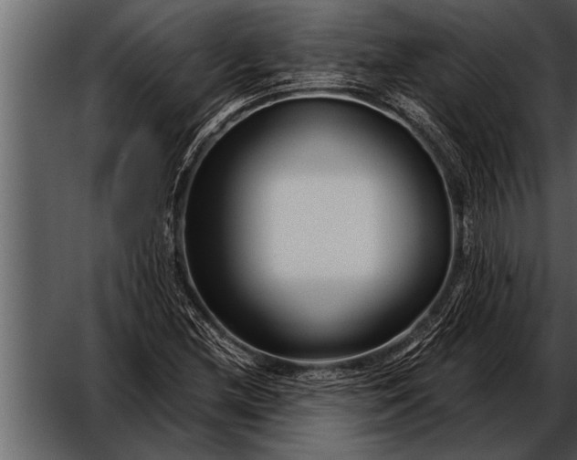X0000052631212200507160122