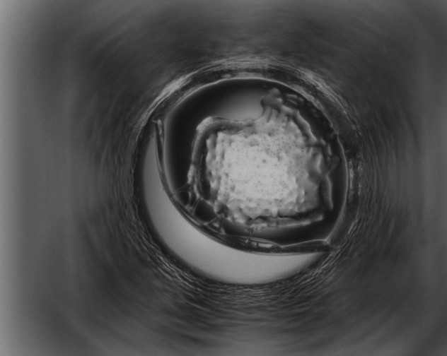 X0000052631213200507160122