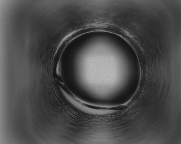 X0000052631214200507160122