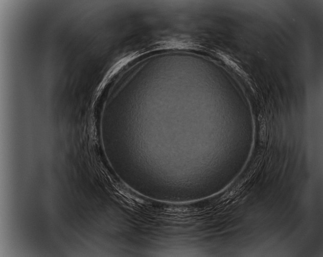 X0000052631215200507160122