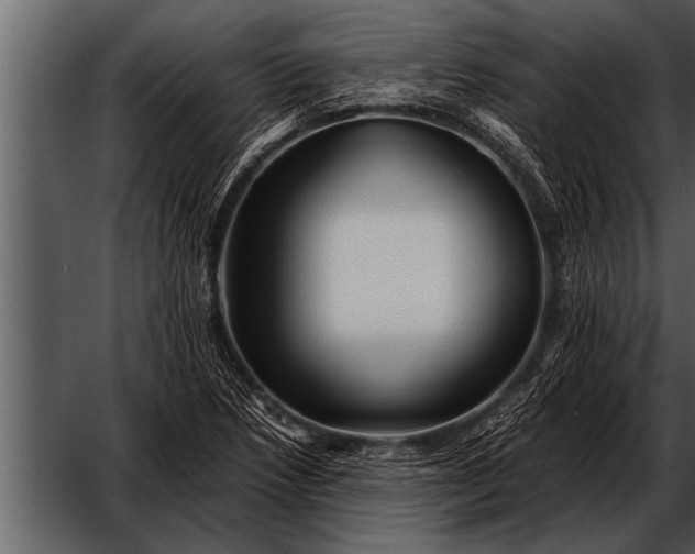 X0000052631218200507160122